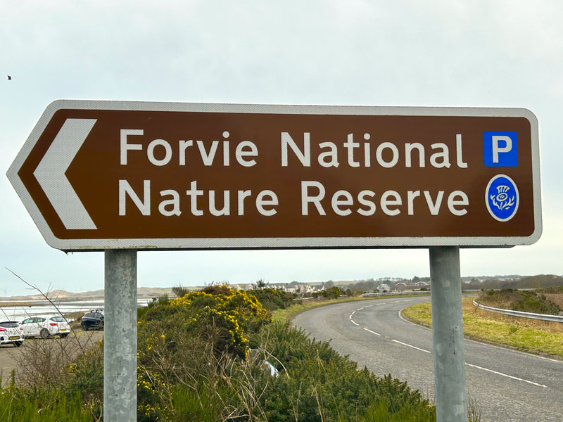 Road sign to Forvie NNR